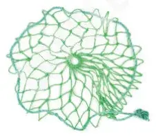 C01SN005